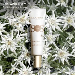 CLARINS