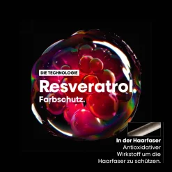 L'Oréal Professionnel