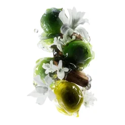 L'Oréal Professionnel