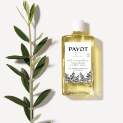 Payot