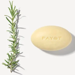 Payot