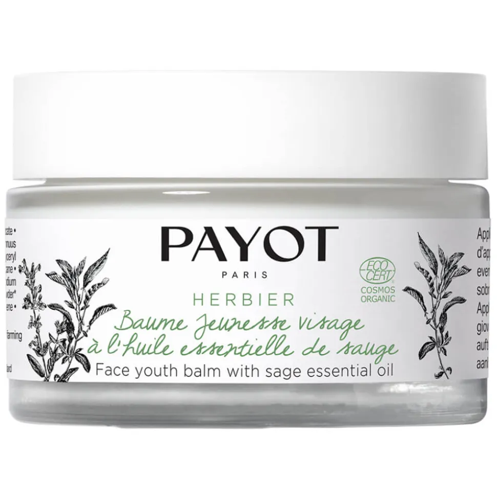 Payot