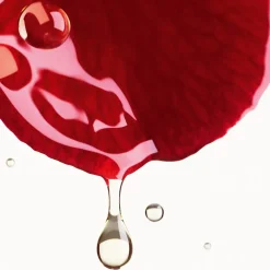 POLSTERT AUF – GLÄTTET – SCHÜTZT