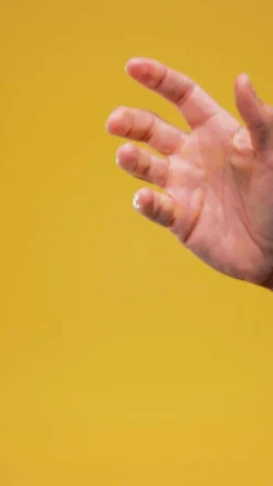 Schwarzkopf Professional