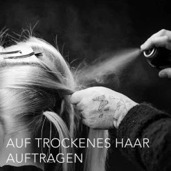 Sebastian Professional