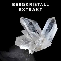 Sebastian Professional